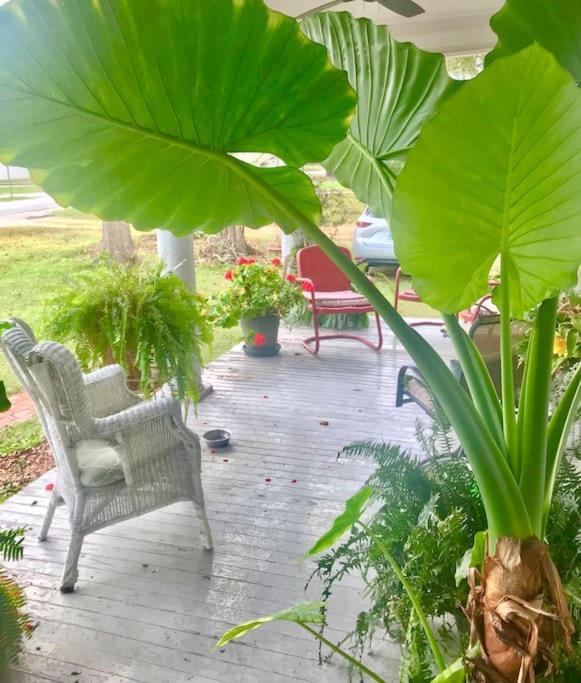 The Farmhouse Private Apartments Eufaula Luaran gambar